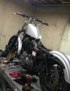 IMG_20220510_064618.jpg