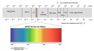 espectro-de-luz-visible-1.jpg