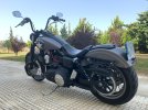 Dyna02_bur.jpg