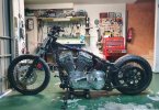 SOFTAIL.jpeg