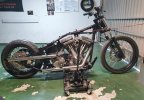 SOFTAIL 1.jpeg