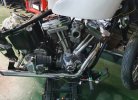SOFTAIL 2.jpeg