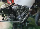 SOFTAIL 2.webp