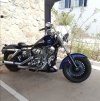 IMG_20220827_071354.jpg