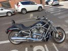 Harley 1.jpeg