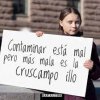 índice.jpg