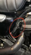 Sportster 1.jpg