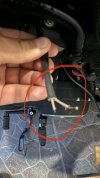 Sportster 3.jpg