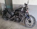 harley actual.jpg