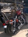 IMG_20221021_200251.jpg