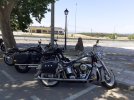 IMG-20220611-WA0011.jpg