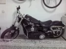 446831_300.webp