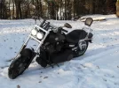 SDC11302.webp