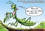 images.webp