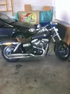 A MIÑA FAT BOB.webp