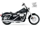 Dyna_Street_Bob.webp