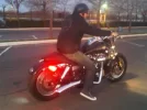 FatBob 2.webp