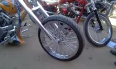 llantadna.webp