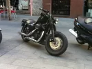 Sportster2.webp