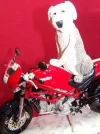 Figura Perro sobre Moto1946.webp