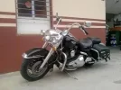 ROADKING-263X200.webp