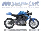 kawasaki_er6n_cafe_racer_porcorosso.webp