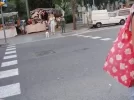 paso-cebra-nuevo-disenho.webp