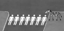 zebra_crossing.webp