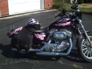zebra-HarleyDavidson-zebra.webp