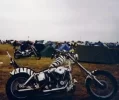 HARLEY.Z.webp