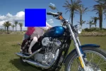 _DSF1179.webp