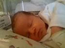 Alex.webp