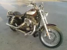 P241010.webp