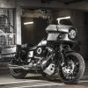 fatbobworld_20201118_074530.jpg