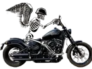 SIN FONDO.webp SIN FONDO.webp