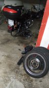 IMG_20230219_203354_821.jpg