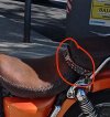IMG_20230321_161425.jpg