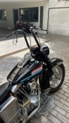 IMG_0071.jpg