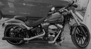 IMG_0586.jpg