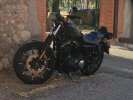 harley petita.jpg