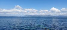 IMG-20230528-WA0016.jpg