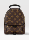 Screenshot 2023-05-30 at 17-20-06 Productos Louis Vuitton Minimochila Palm Springs.png