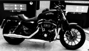 moto hd 883.png