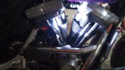 IMG_20230721_094630_737.jpg