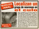 mggr_neuronas_culo_620x458.jpg