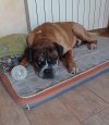 IMG-20230424-WA0007.jpg