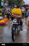 un-hombre-que-lleva-un-monton-de-flores-en-una-motocicleta-en-un-mercado-local-de-flores-en-my...jpg