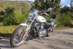 Sportster.jpg