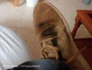 IMG20230917125234~2.jpg