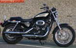 harleydavidson-xl1200r-sportster-roadster-2007-6.jpg